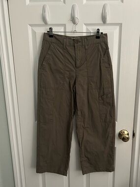 Agolde Ankle Pants